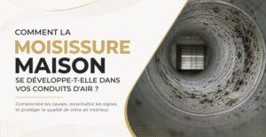 Comment la Moisissure maison se développe-t-elle dans vos conduits d'air
